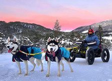 Kvinne i terrenkjøretøy trekkes av to huskyer i snøen