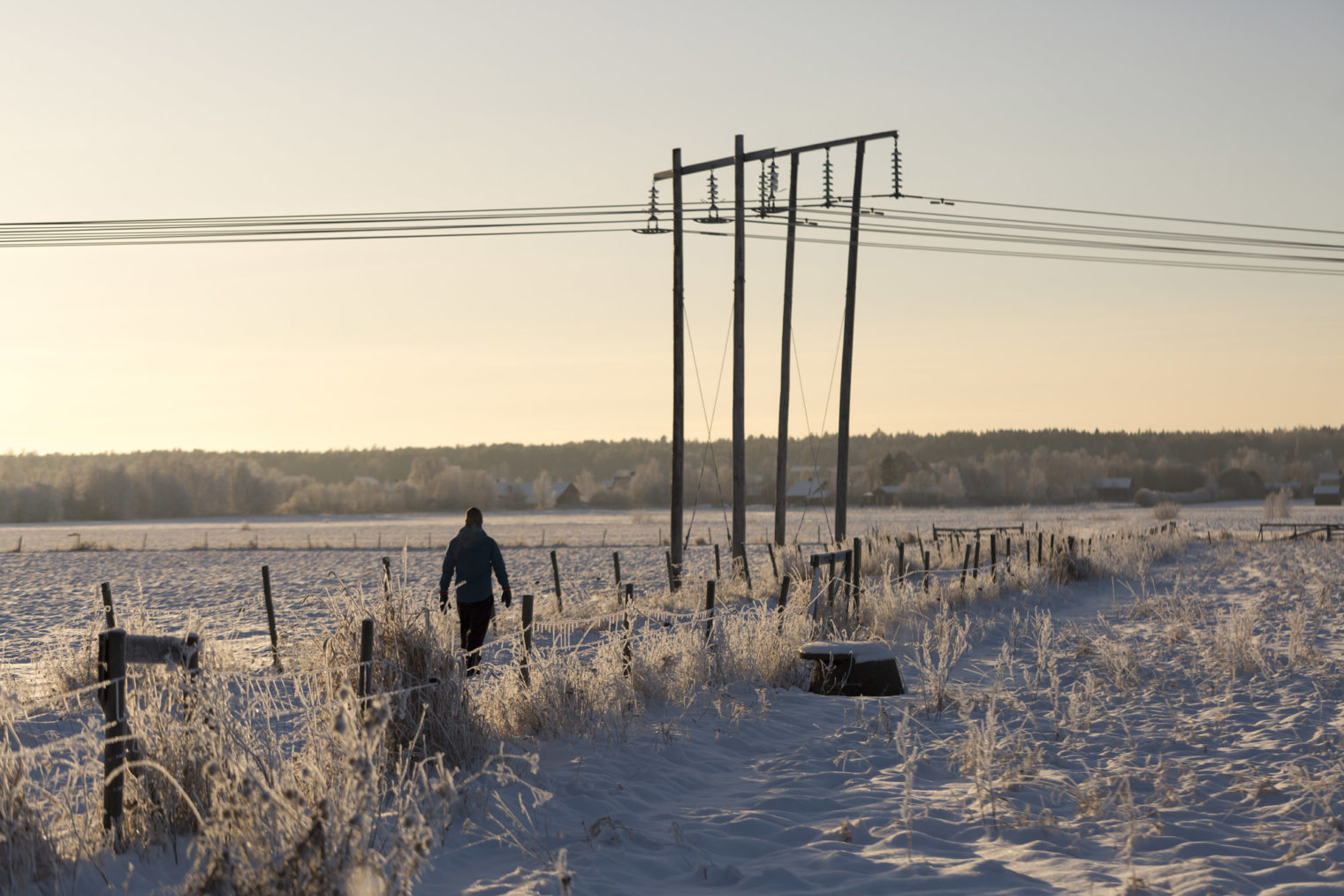 Bilde av strømledninger over vinterlandskap.