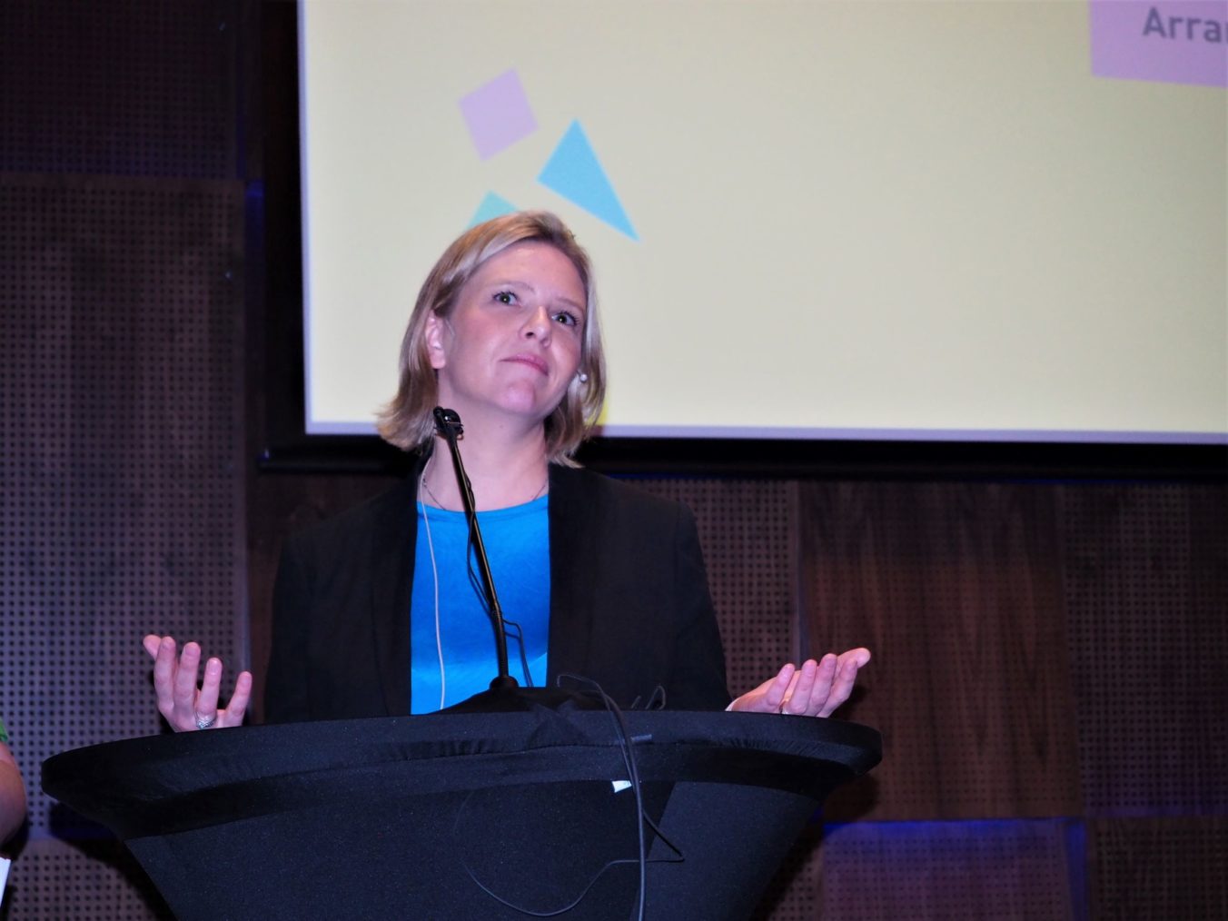 Sylvi Listhaug