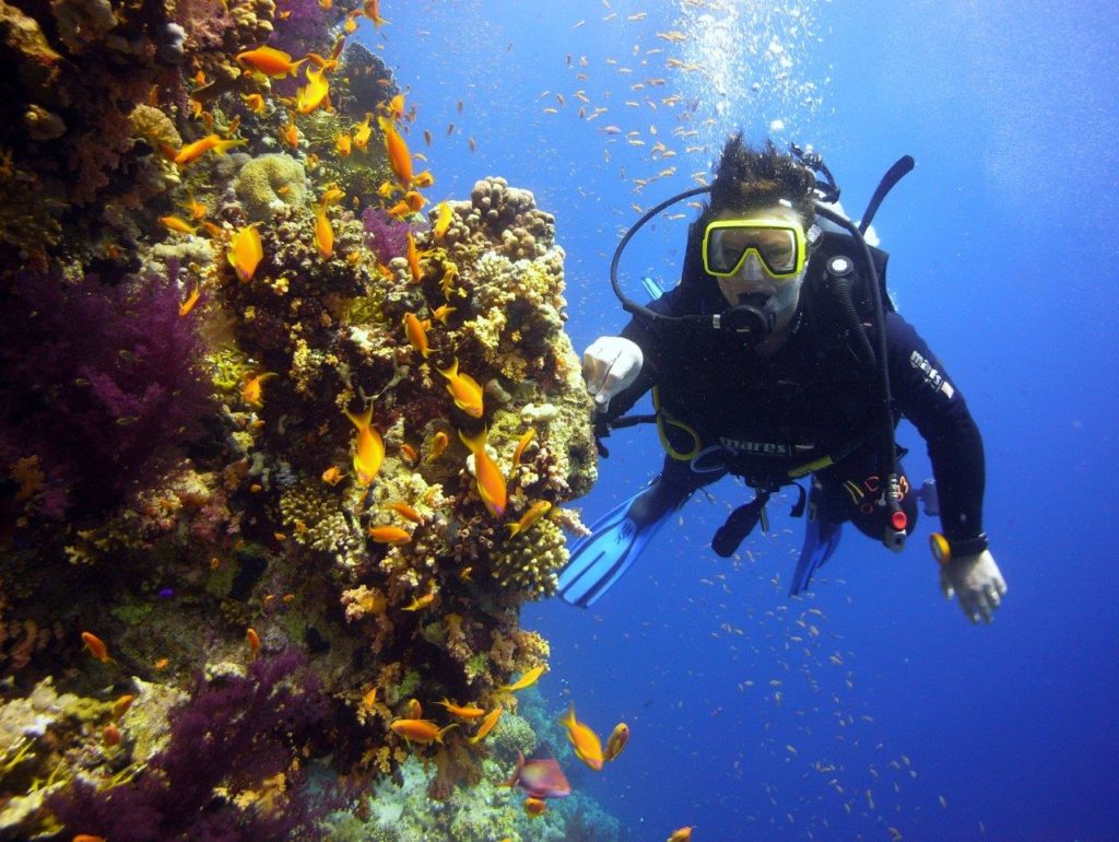 Undervannsbilde der Brandvik dykker ved et korallrev.