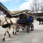 TRYGT TOG: Aktiviteten vender gradvis tilbake på Beitostølen Helsesportsenter. 17. maitoget ble avviklet på trygg måte i hest og vogn. (Foto: Beitostølen Helsesportsenter)