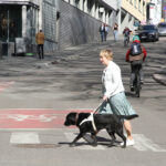 ARBEIDSØKT: Gry Berg assisteres av førerhunden Narnia i trafikken. Når selen er av, har hunden fri. (Foto: Jørgen Juul, Blindeforbundet)