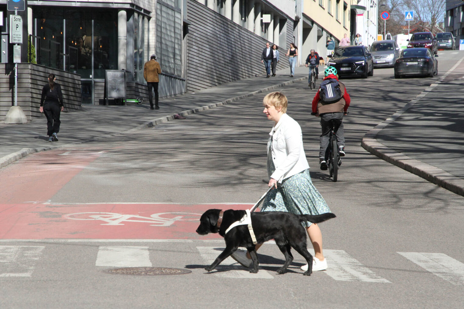 Gry Berg krysser fotgjengerfelt i gatemiljø, med hunden.