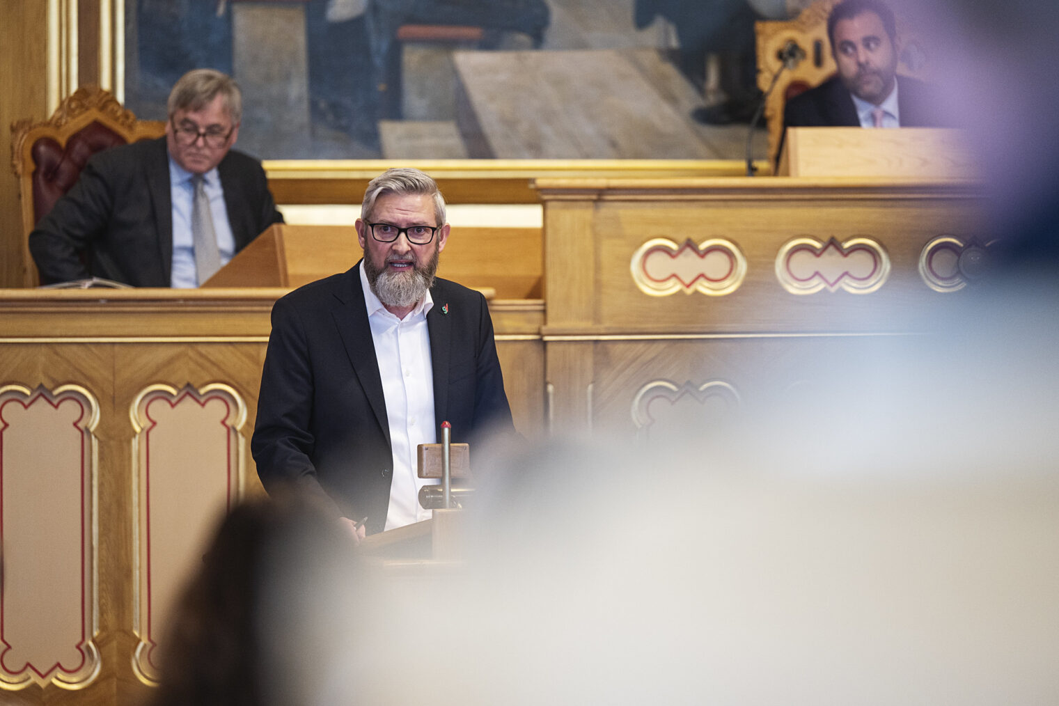Cato Brunvand Ellingsen på Stortingets talerstol
