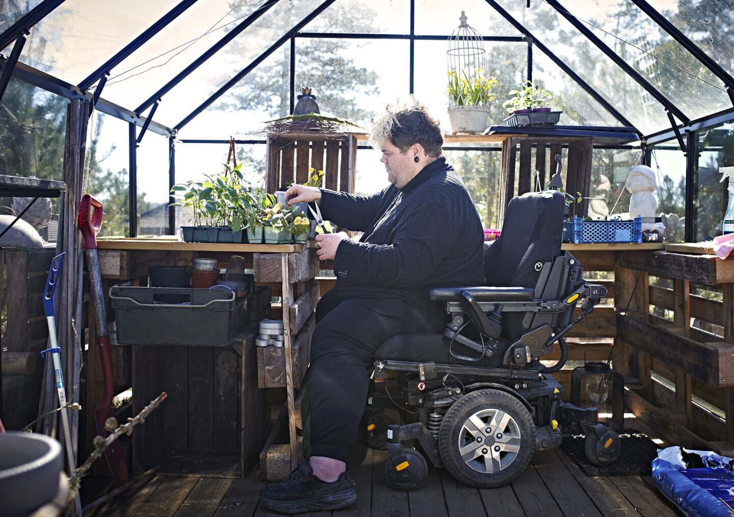 Aleksander V. Olsen i el-rullestol i drivhuset, foran et bord fullt av unge planter i plastpotter