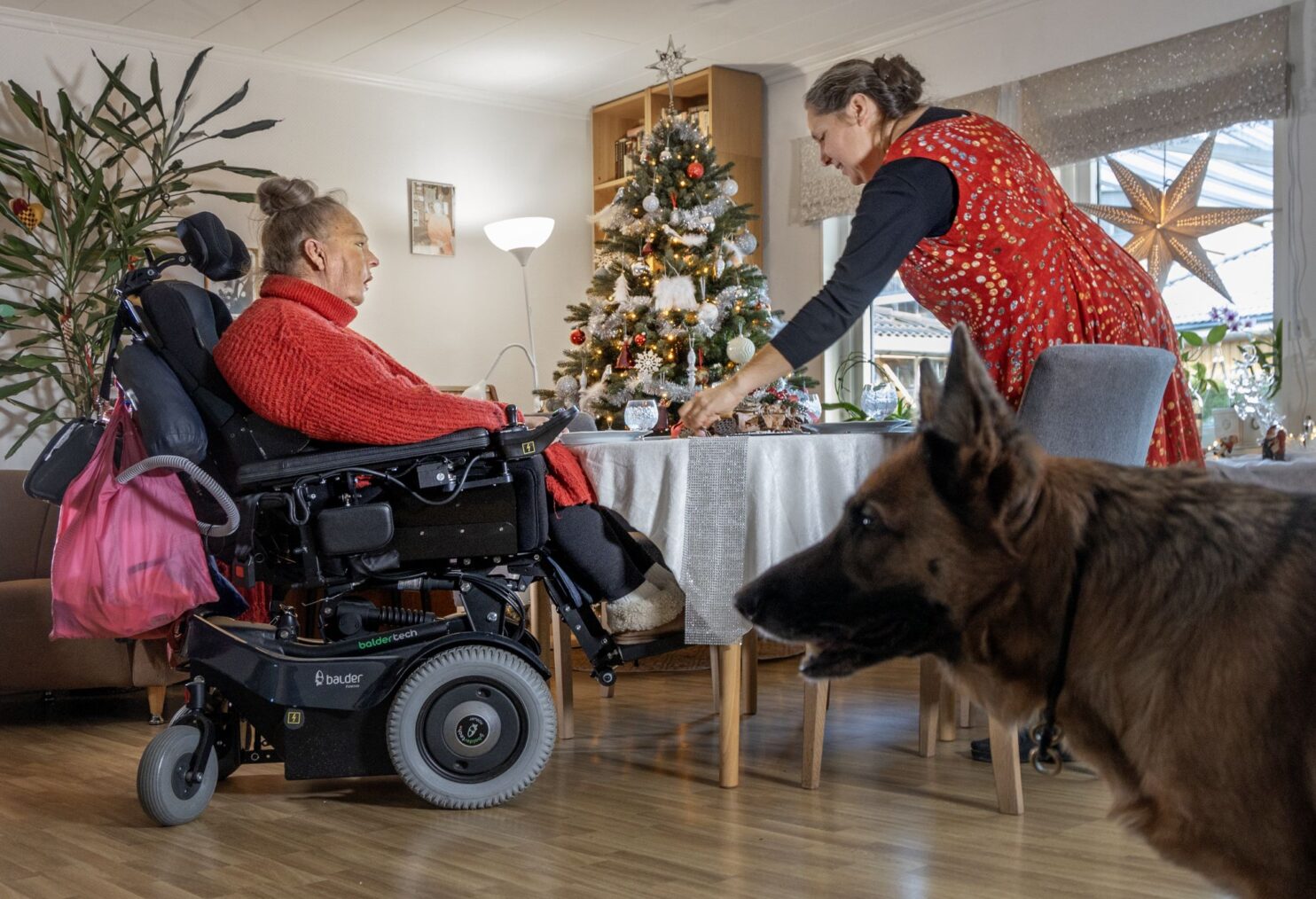 Maria Hagen i elektrisk rullestol instruerer assistenten i borddekking. Juletre i bakgrunnen, schäferhund i forgrunnen
