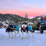 TILGJENGELIG FRILUFTSLIV: Daglige fjellturer med to huskyer og en Exoquad får Andrea Walderhaug til å stå opp med et smil! 
(Foto: Privat)