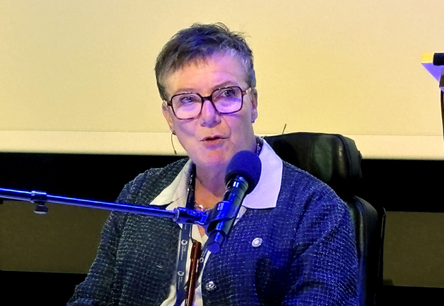 Tove Linnea Brandvik på talerstol